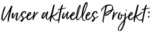 Unser aktuelles Projekt